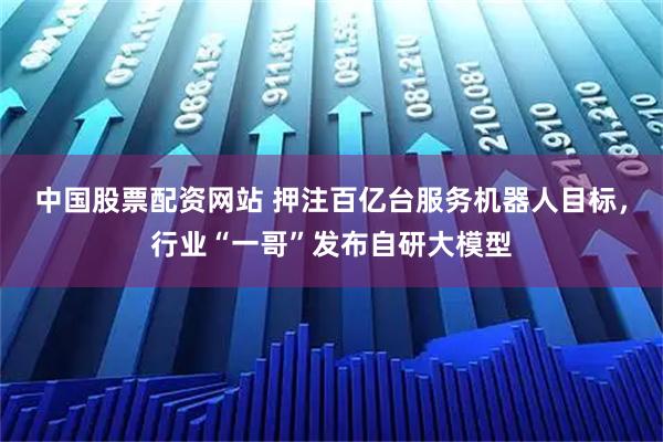 中国股票配资网站 押注百亿台服务机器人目标，行业“一哥”发布自研大模型